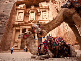 Jerusalem y Petra 